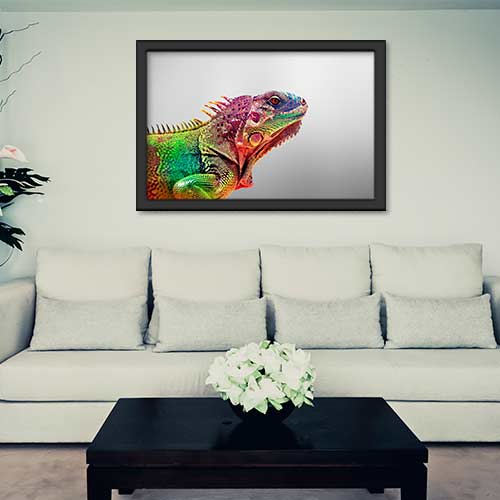 Quadros com Fotos - Iguana colorida